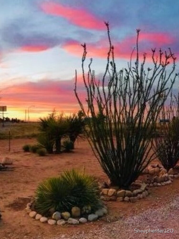 Sunset Desert View Carlsbad New Mexico in  the Chihuahuan Desert by Sheepherder120