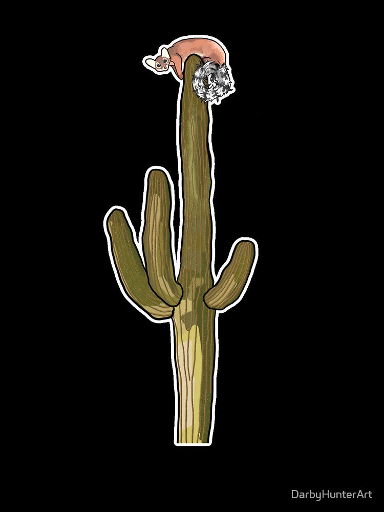 Ringtail cat on saguaro by DarbyHunterArt