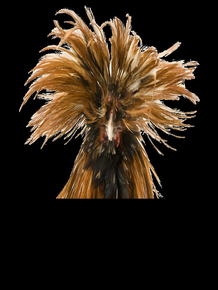 Polish Chicken - Polish Chicken Shirt - Chicken Lovers - Bird Lovers - Funny Chicken - Funny Chicken Shirt - Chicken Owners by Galvanized
