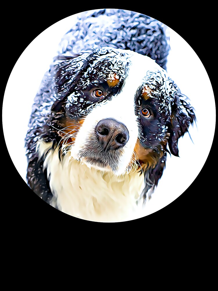 Bernese Mountain Dog Portrait by RevolutionInPaint