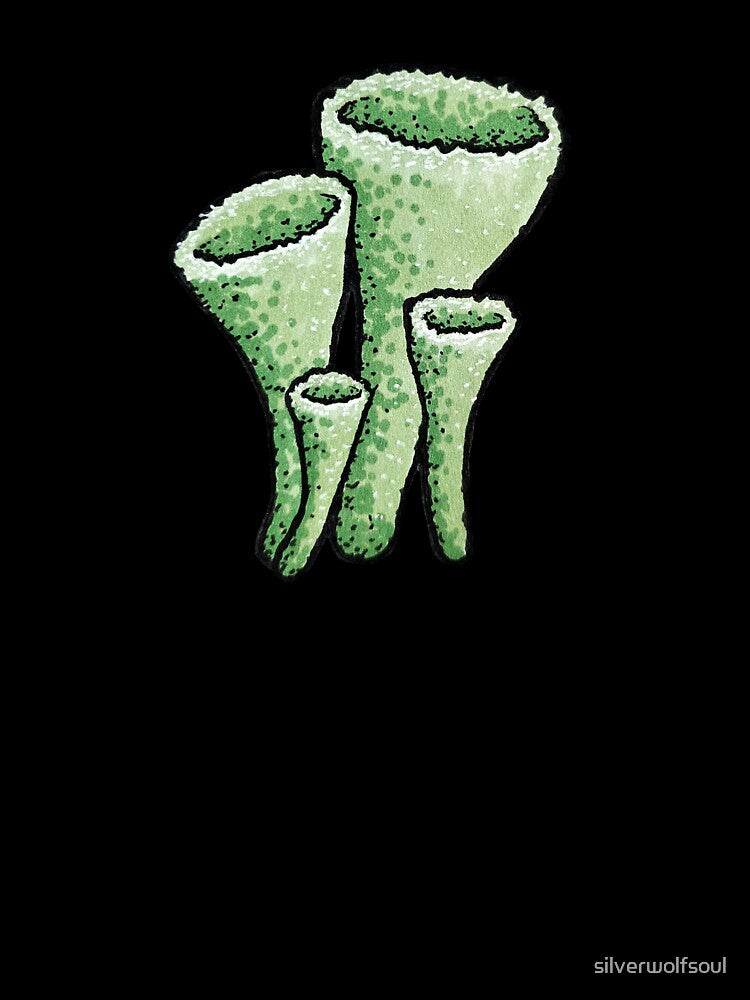 Pixie Cup Lichen by silverwolfsoul