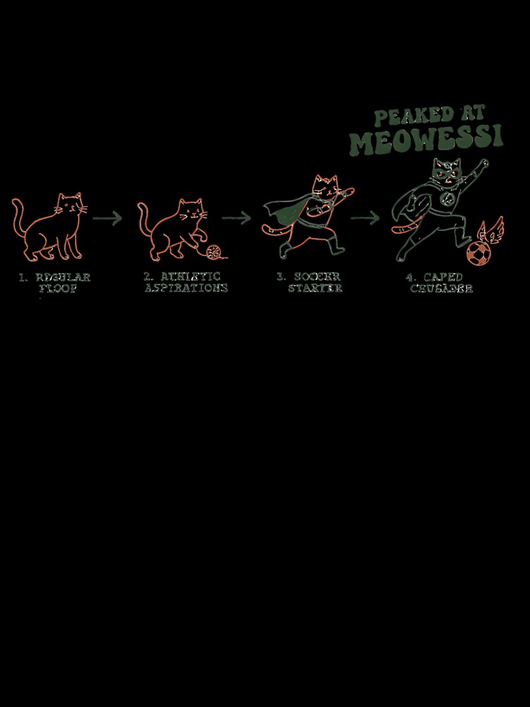 Evolution of a Feline Football Hero by AnnDesignStudio