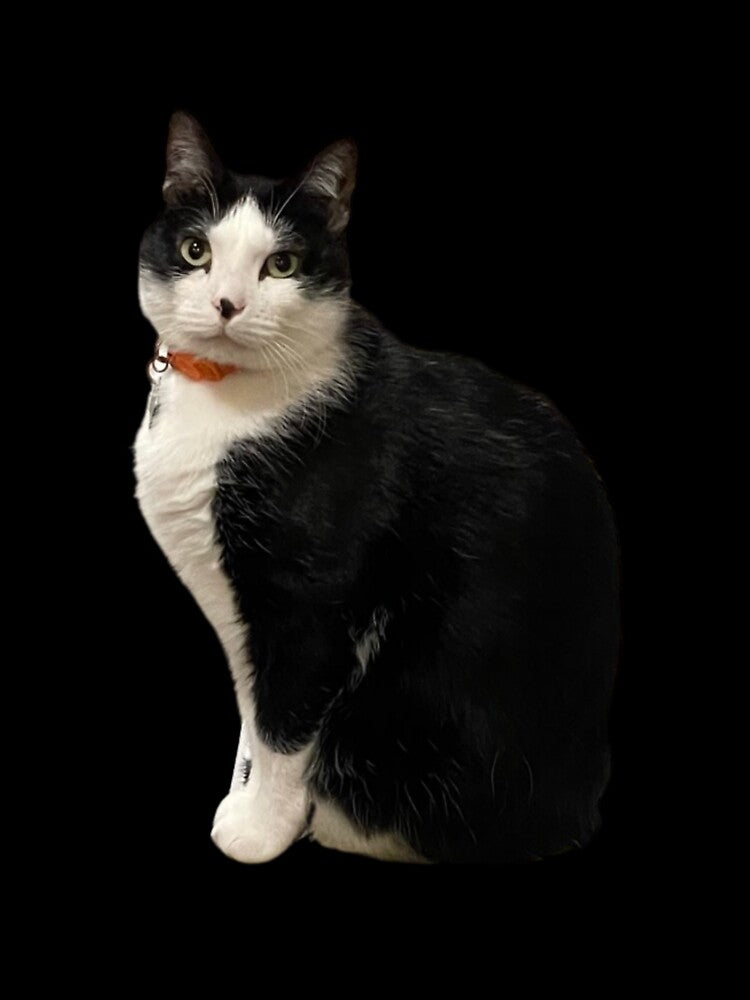 Dapper Man by TCF-and-friends