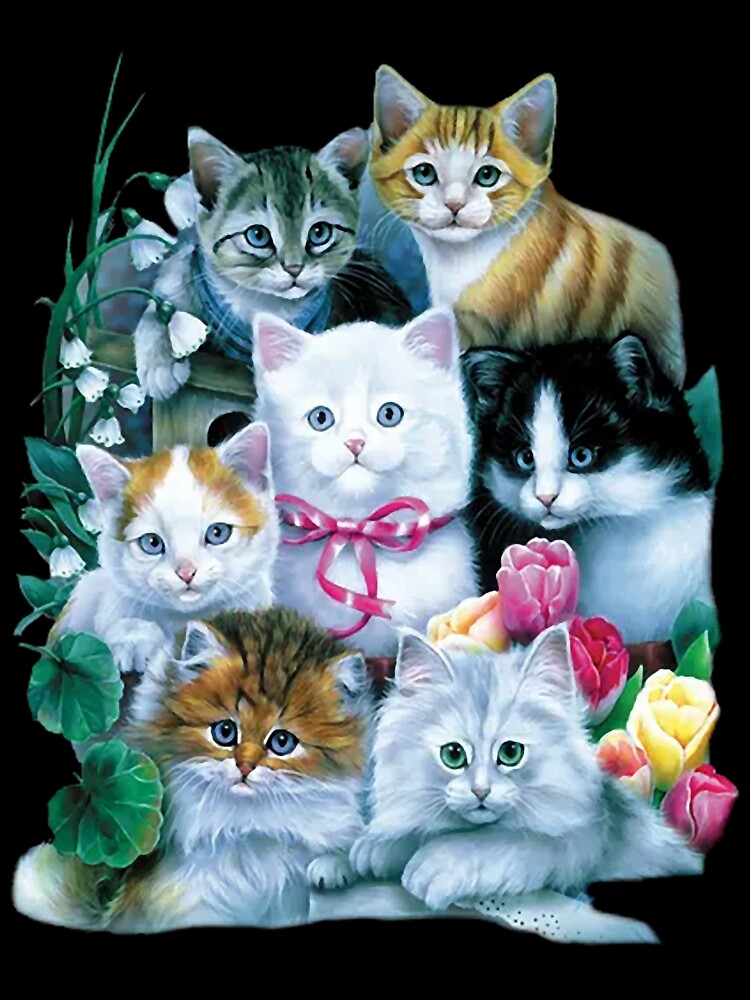 The Mountain Men_s Kittens T-Shirt by WilmaMcMillan