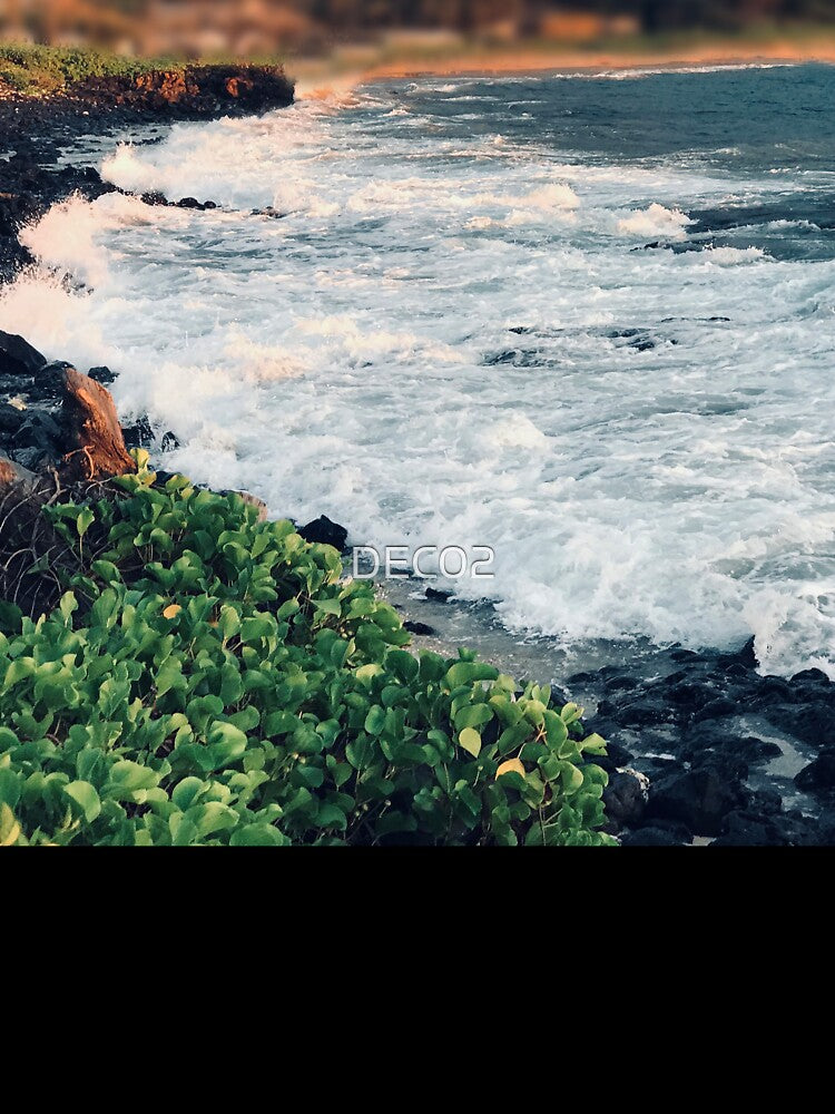 Dramatic Ocean Cove With Bubbly, Foamy Surf by DEC02