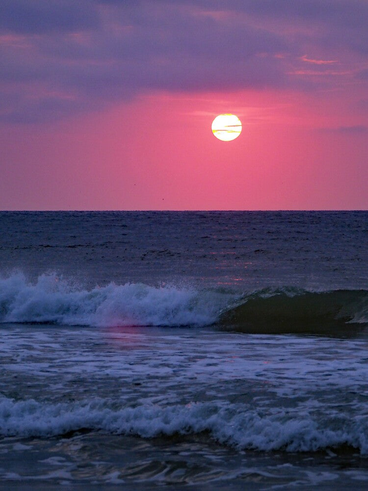 Sunrise 560 by Strawflower Oasis