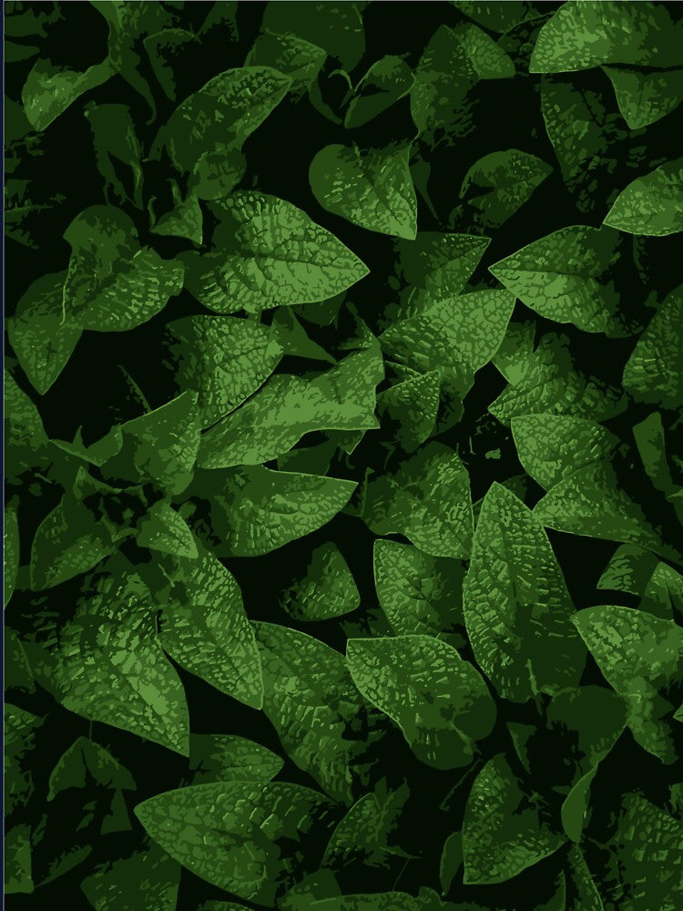 Green Leaf Illustration:- Green Leaf Art-Forest Art Print by typoinspired