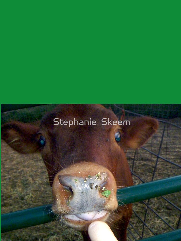 brown cow face, by Stephanie  Skeem