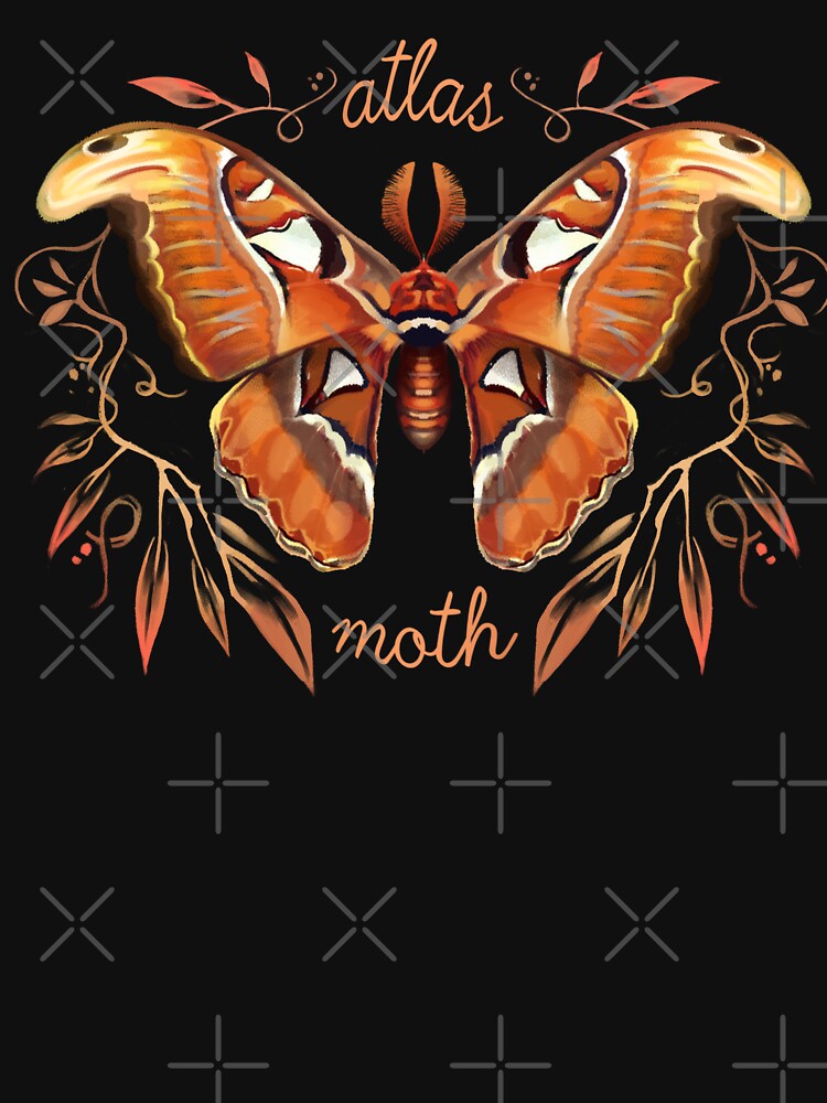 atlas moth by tropi-cat