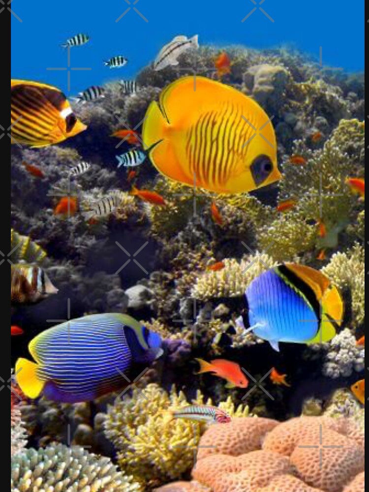 Coral Reef Tropical Fish by Foofighter01