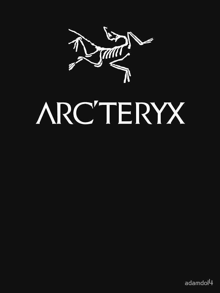 beautiful mosque arcteryx face by adamdol4