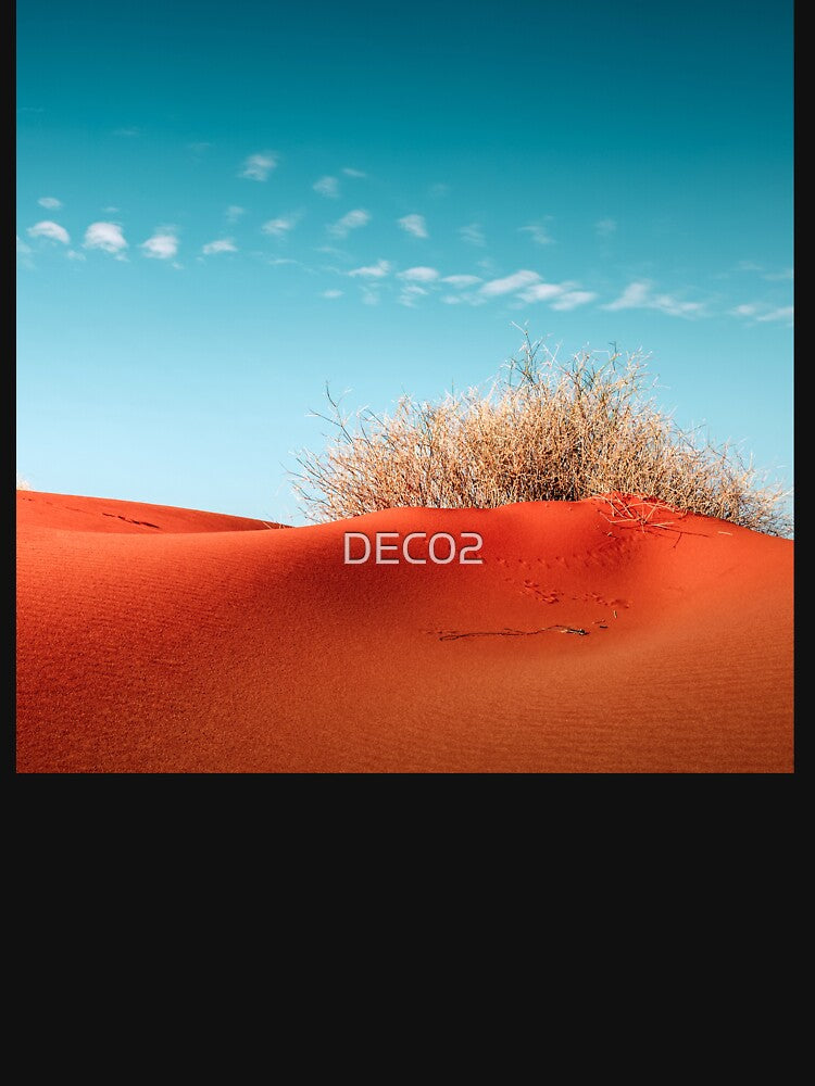 Red Desert Sand With Dusty Bush and Blue Sky Art Photo by DEC02
