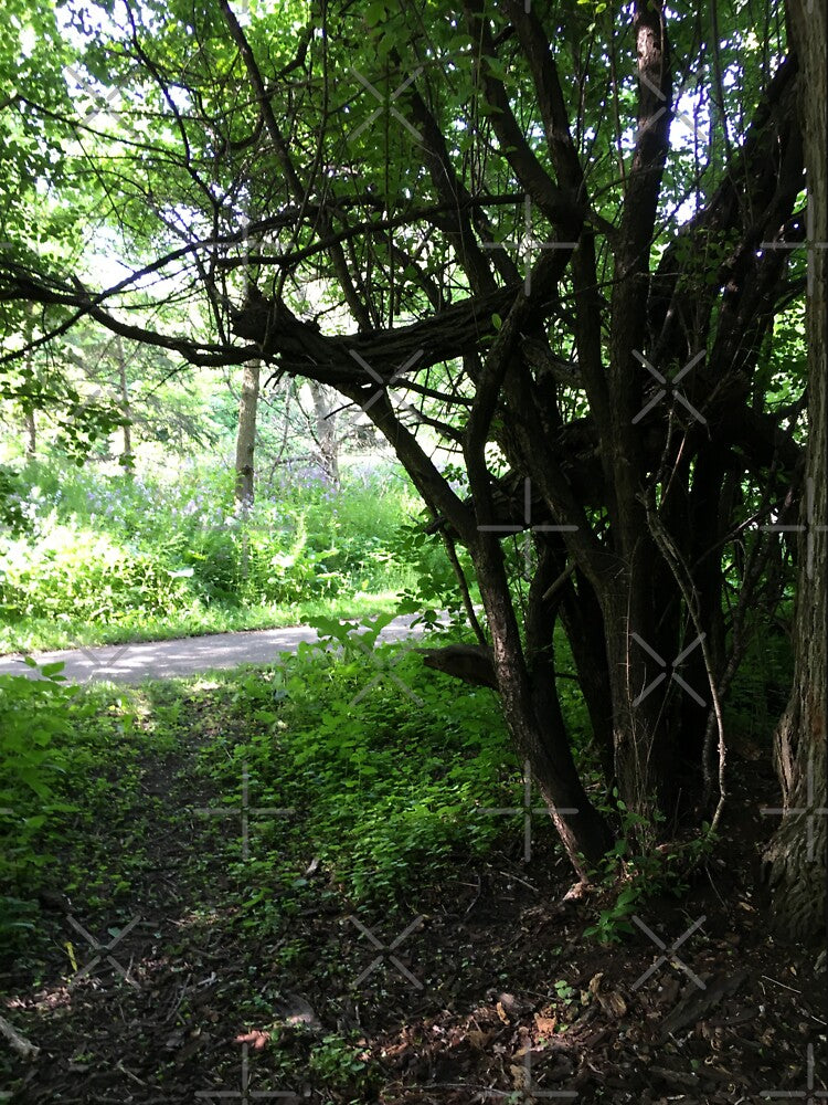 Forest mask, Gothic forest, In the forest, by PicsByMi