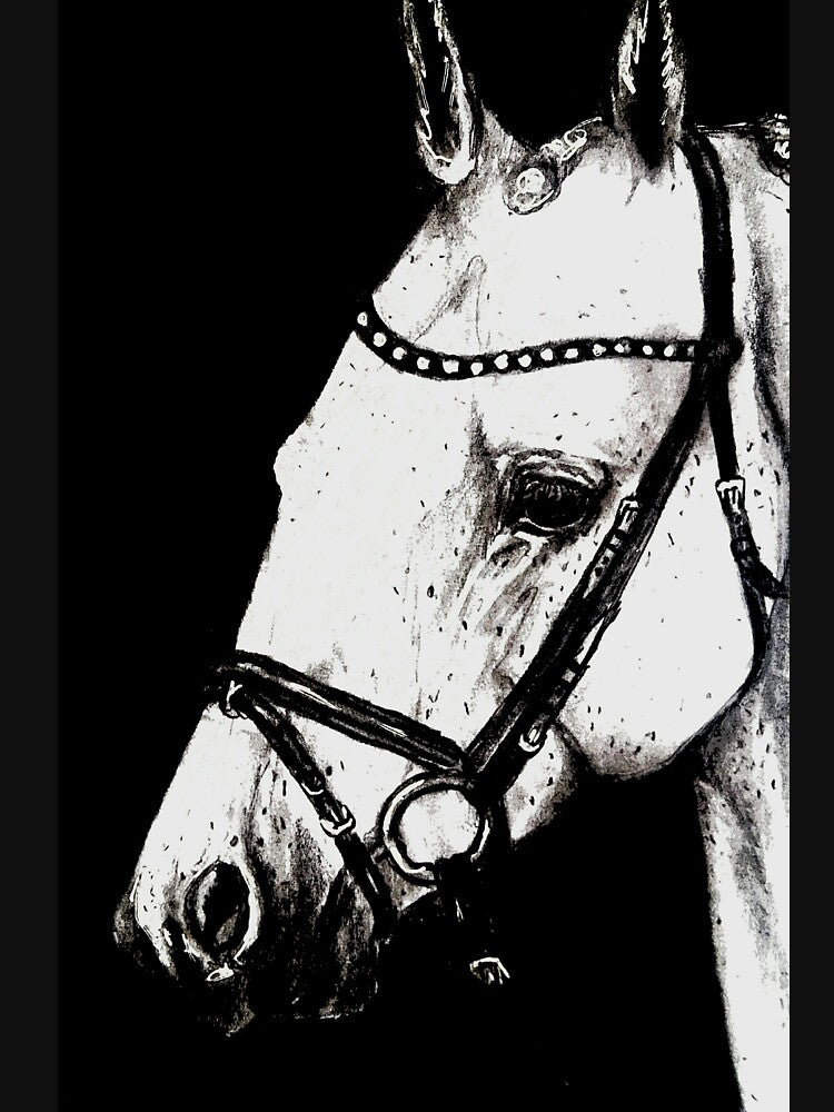 Grey horse portrait charcoal drawing by horseaddicted