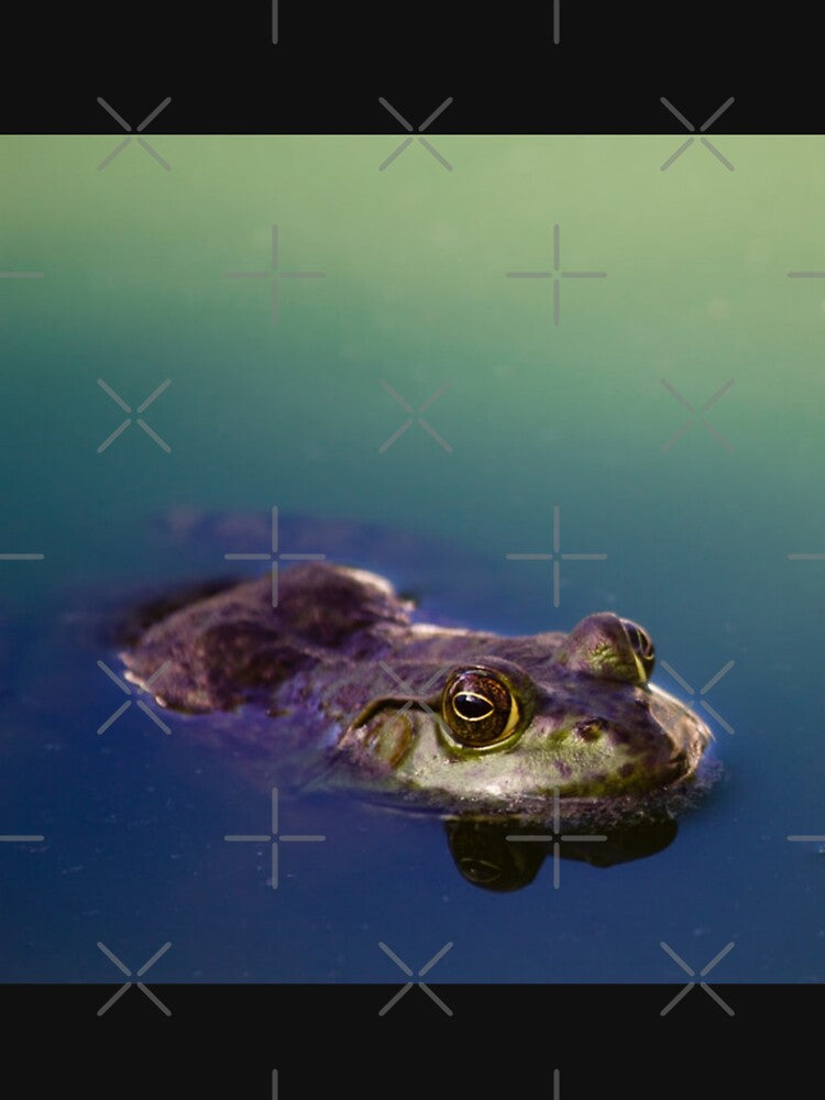 Frog in Water Green Frog Eyes by mwagie
