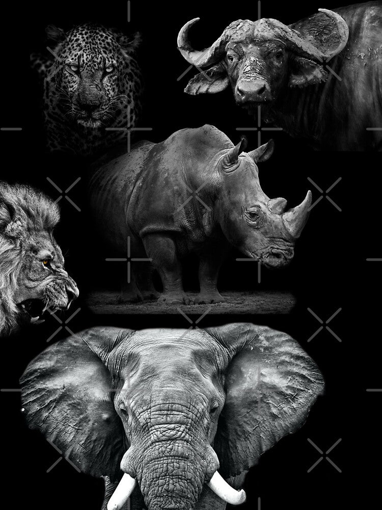 BIG FIVE by johnnyssandart