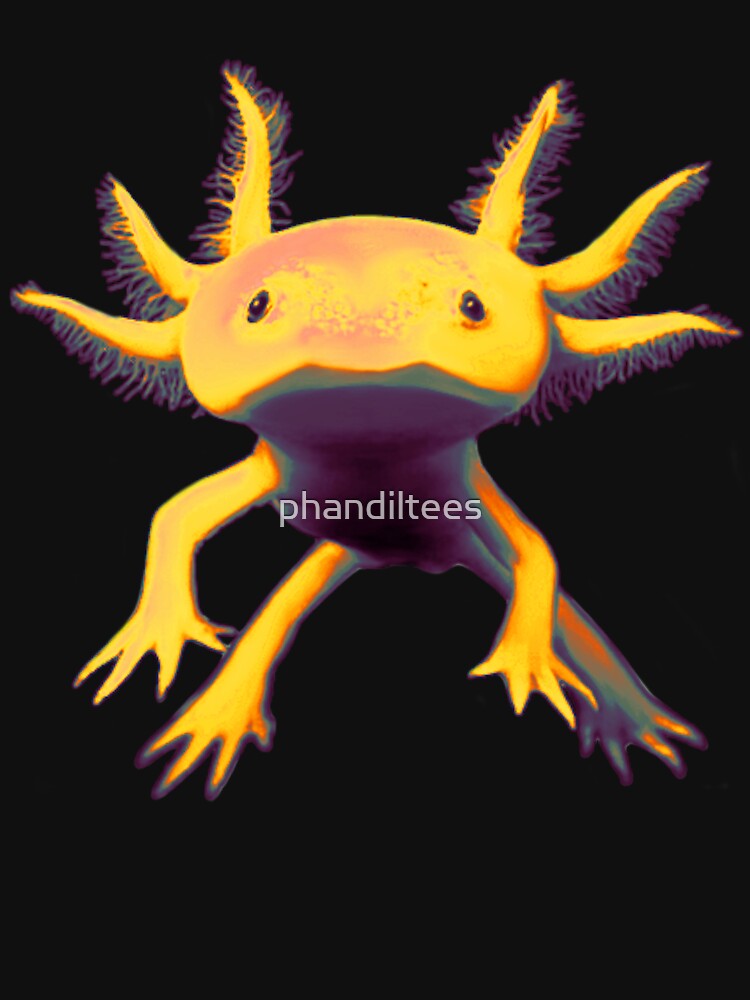 Axolotl by DoodleDashCollective
