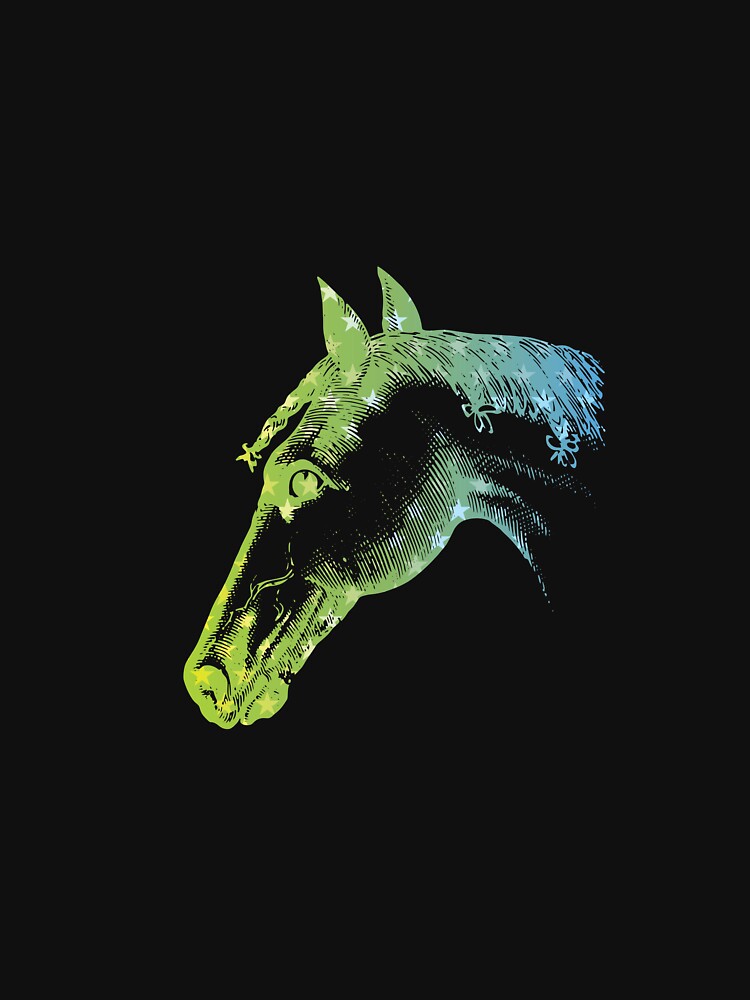 COLORFUL HORSE HEAD by BenO63