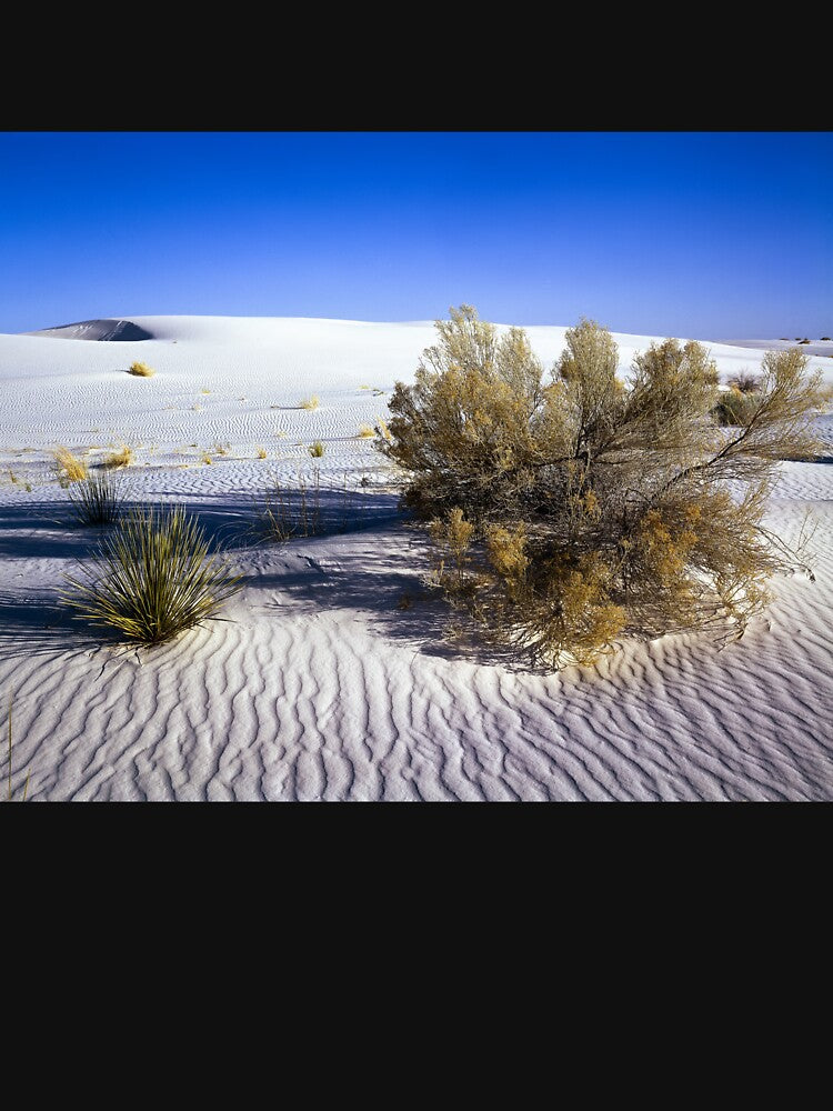 Mojave Desert, California by OrcaNature