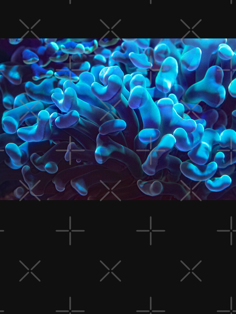 Blue Coral by madtoyman