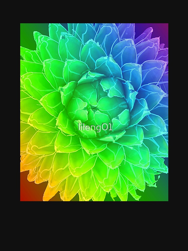 A desert bloom by Analee & K