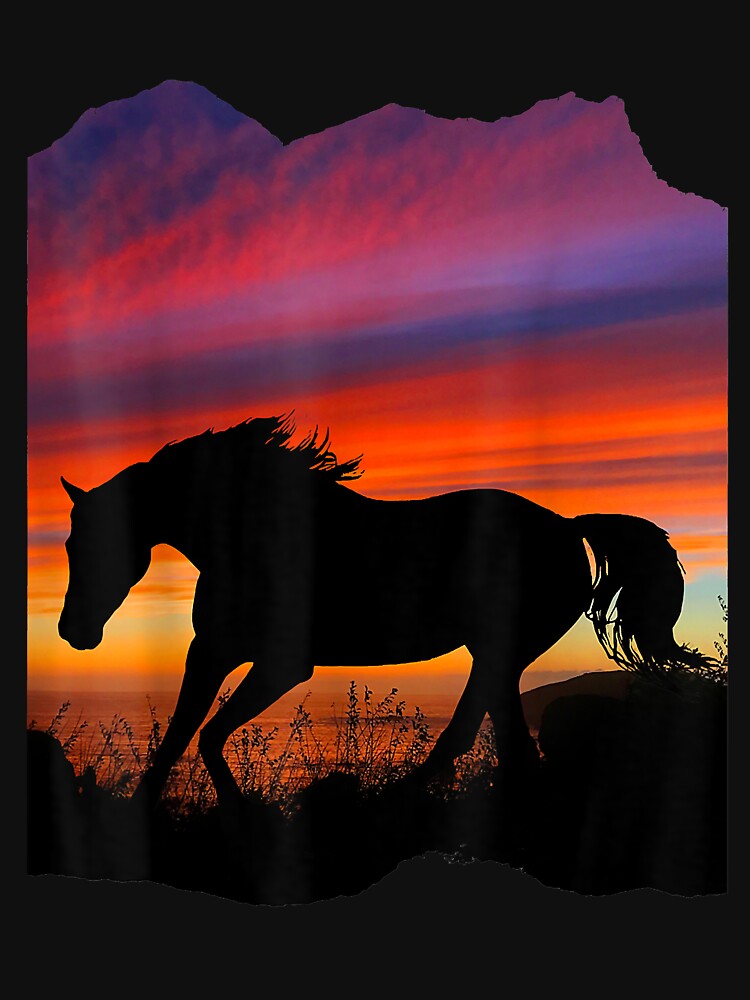 Beautiful Arabian horse sunset by spherevilla