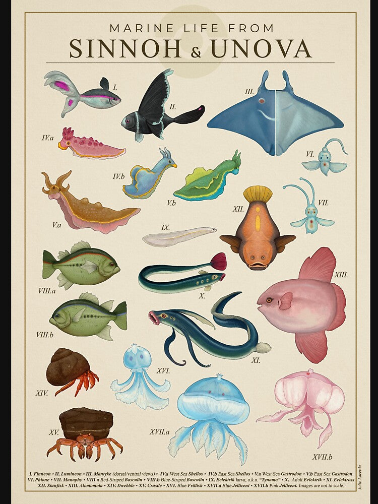Marine Life from Sinnoh & Unova by Julio Lacerda