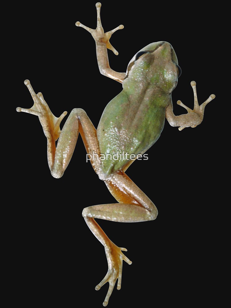 Tree Frog by DoodleDashCollective