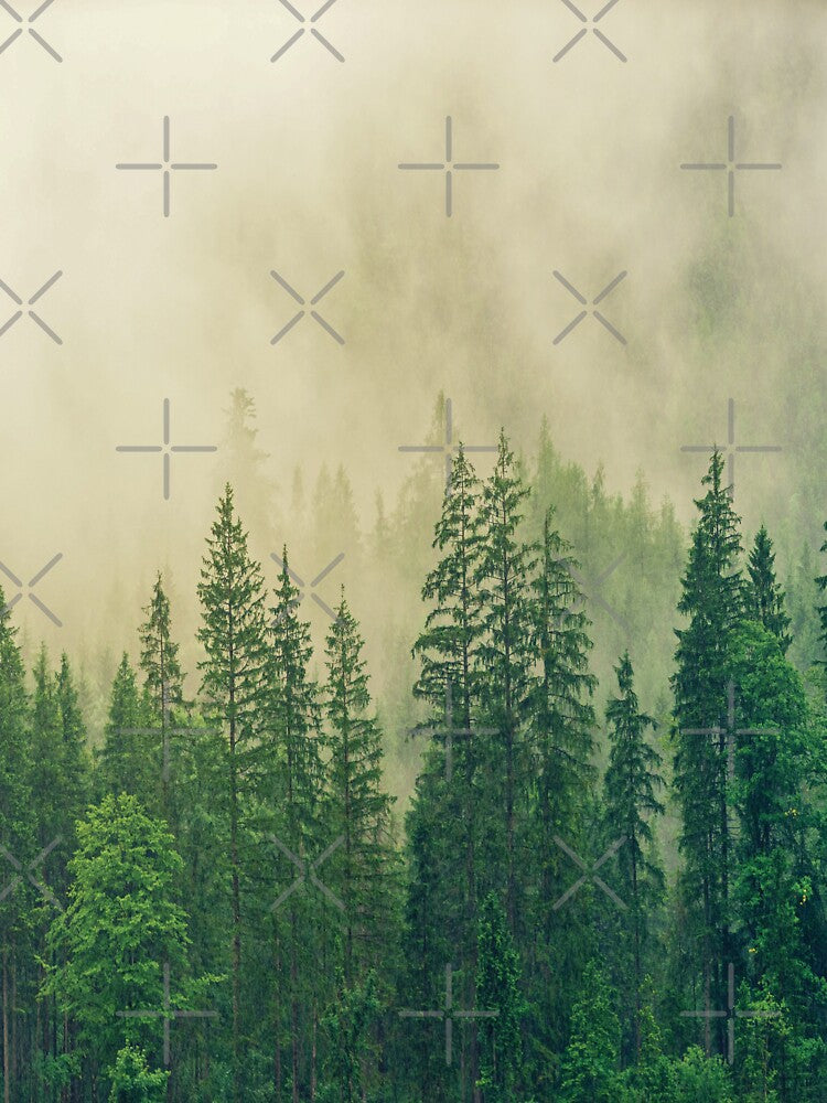 Tropical Forest Elegance: Embrace Nature's Allure in Every Print by limos