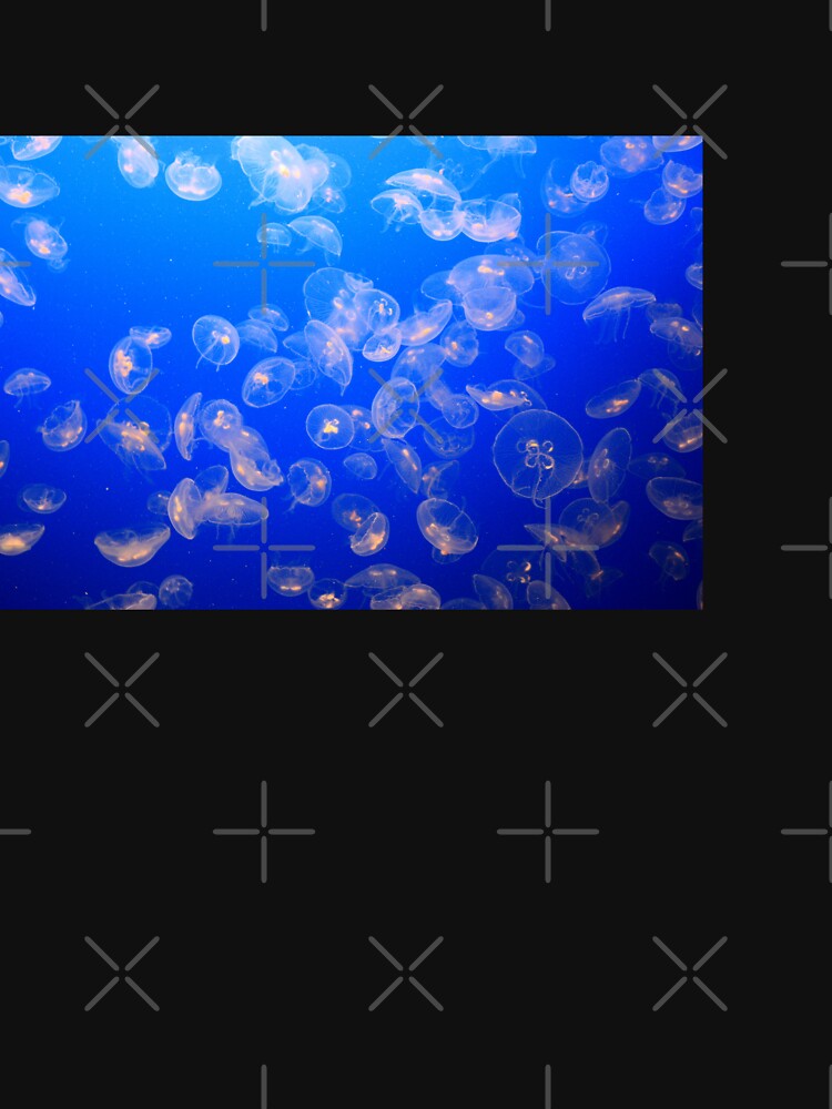 Underwater Scene of Jellyfish by madtoyman