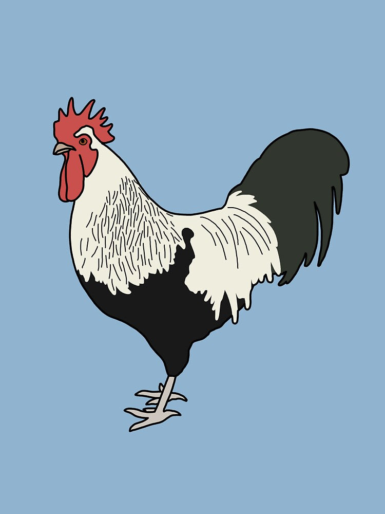 Dorking Chicken by taylorrowan