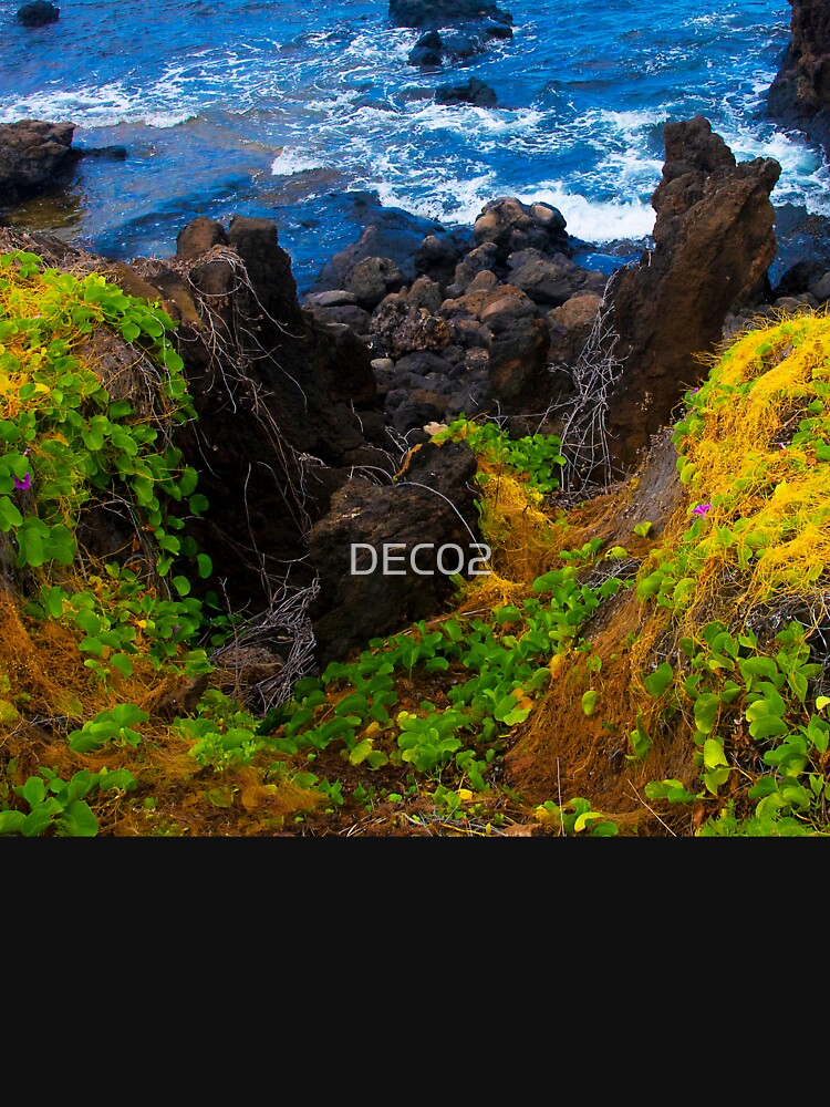 Tropical Hawaiian Island Lush Ocean Cove Art Photo by DEC02