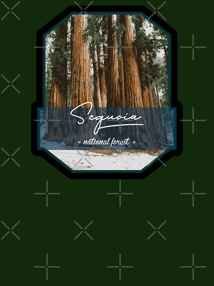 sequoia national forest in California by Donutlovers
