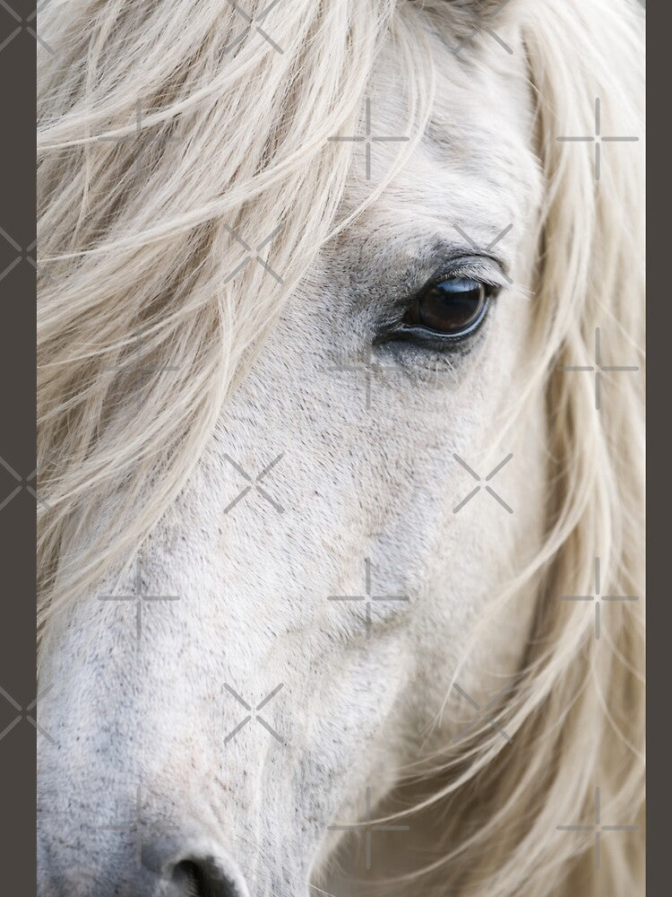 White horse Angel,  Close up by LuluLeb