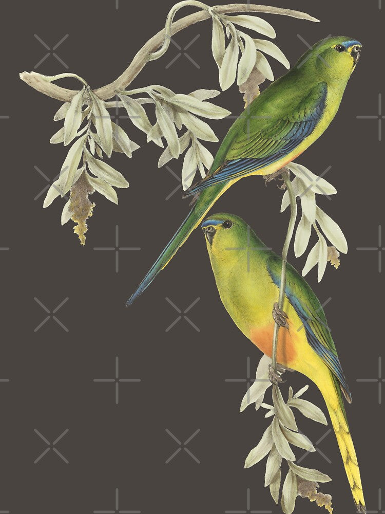 John Gould's OBPs t-shirts by Friends-of-OBP