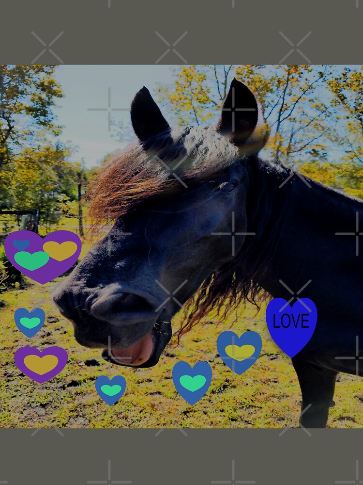 Adorable Black Horse Laughing Sending His Love by NC Nature Visions