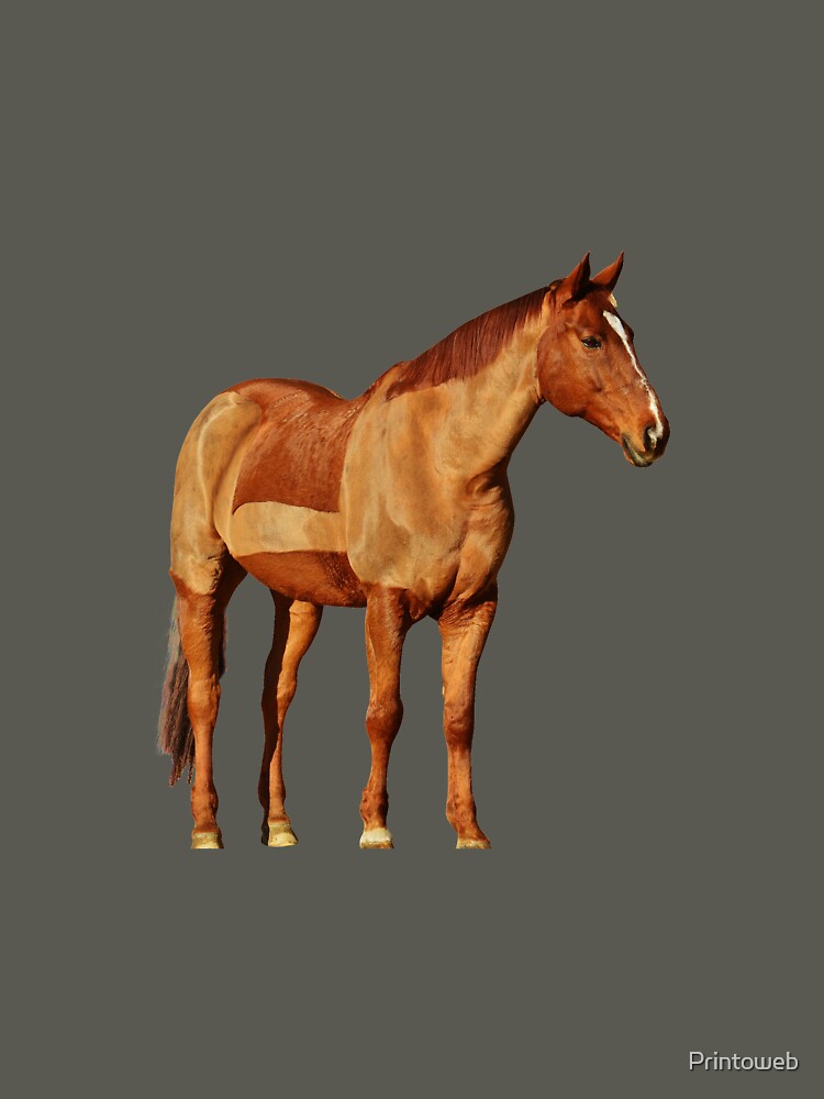 Love Horse? Buy Exclusive Horse Shirt/Horse Clothing/Horse Accessories by Printoweb