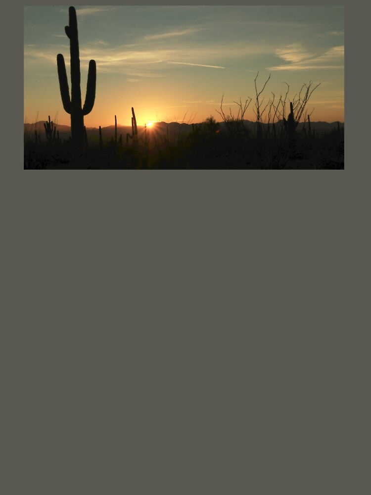 Saguaro National Park at Sunset by "sensesillusion" - Nature Images Art Prints