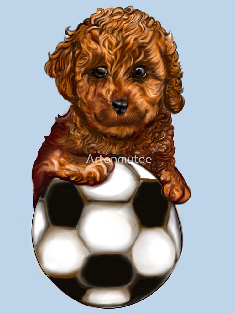 Cavapoo football soccer dog - Soccer playing  Cavapoo  Cavoodle puppy dog holding a football soccer ball  - cavalier king charles spaniel poodle, puppy love by Artonmytee