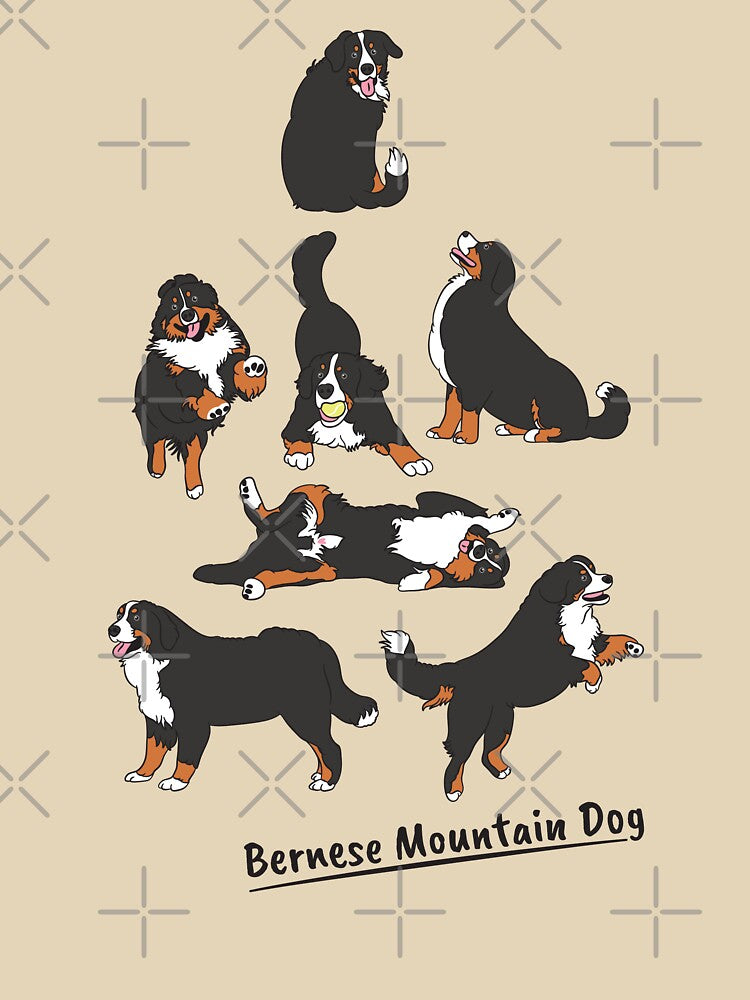 Playing Bernese Mountain Dog - Blue Background by Lulupainting