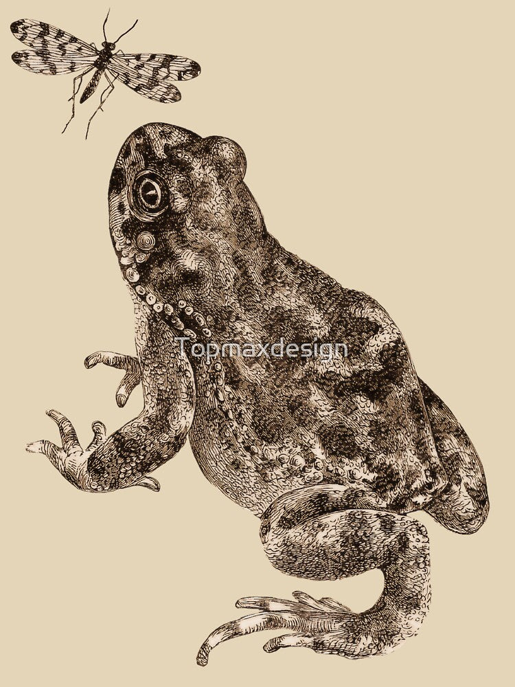 Art Frog Hunting an Insect by Topmaxdesign