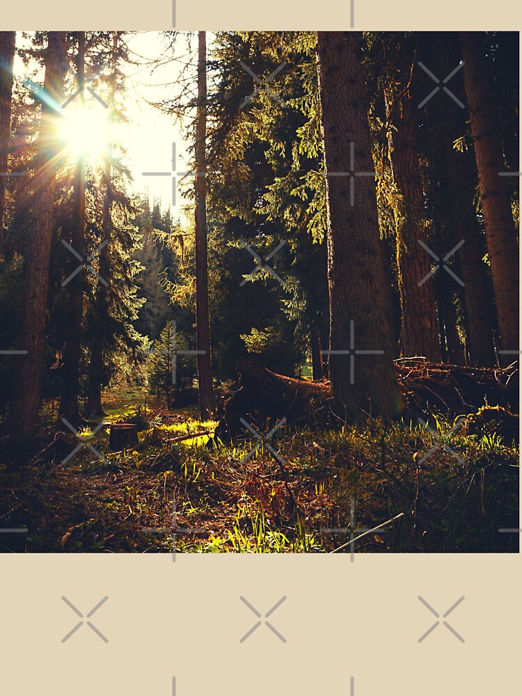 Magical Forest Sunrise by olegarh