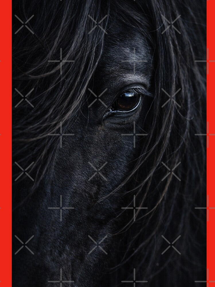 Black horse Majestic close up by LuluLeb