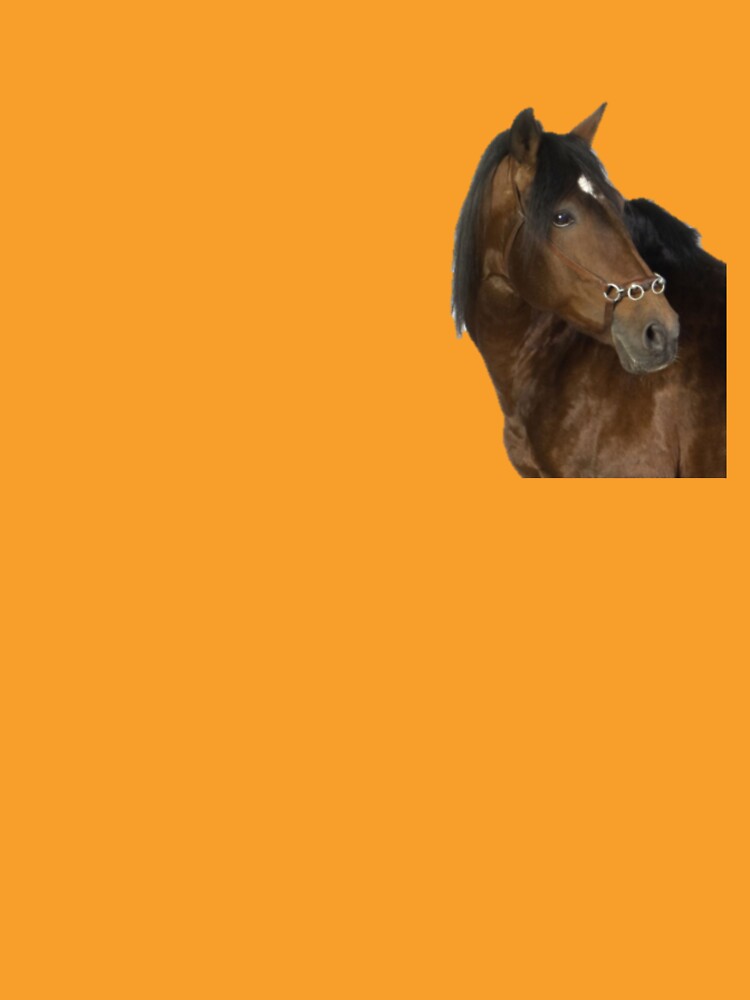 Horses Beauty Art by NoxLand