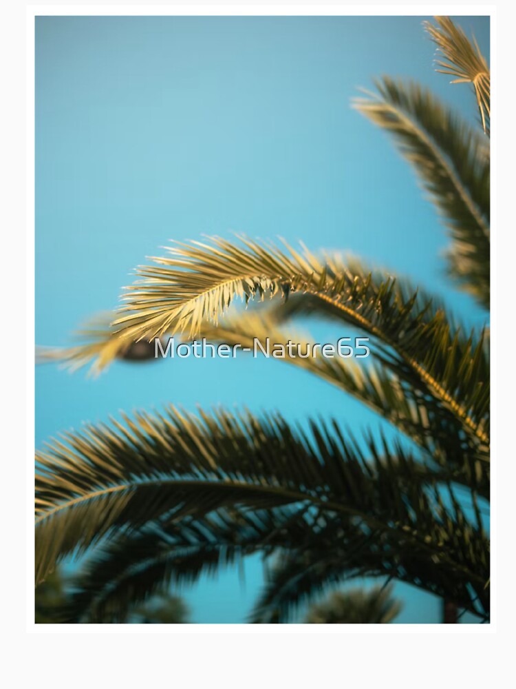 Fern Leafs Blue Sky Photographic Print by Mother-Nature65