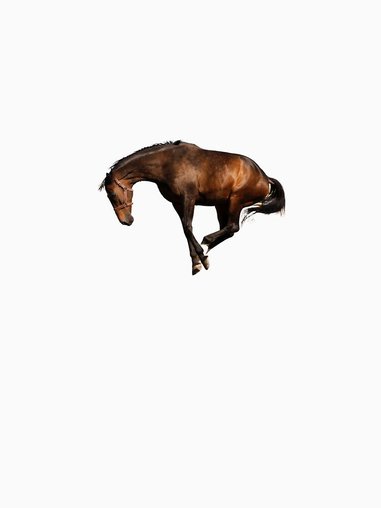 Crazy Chaotic Horse by bubblesjpeg