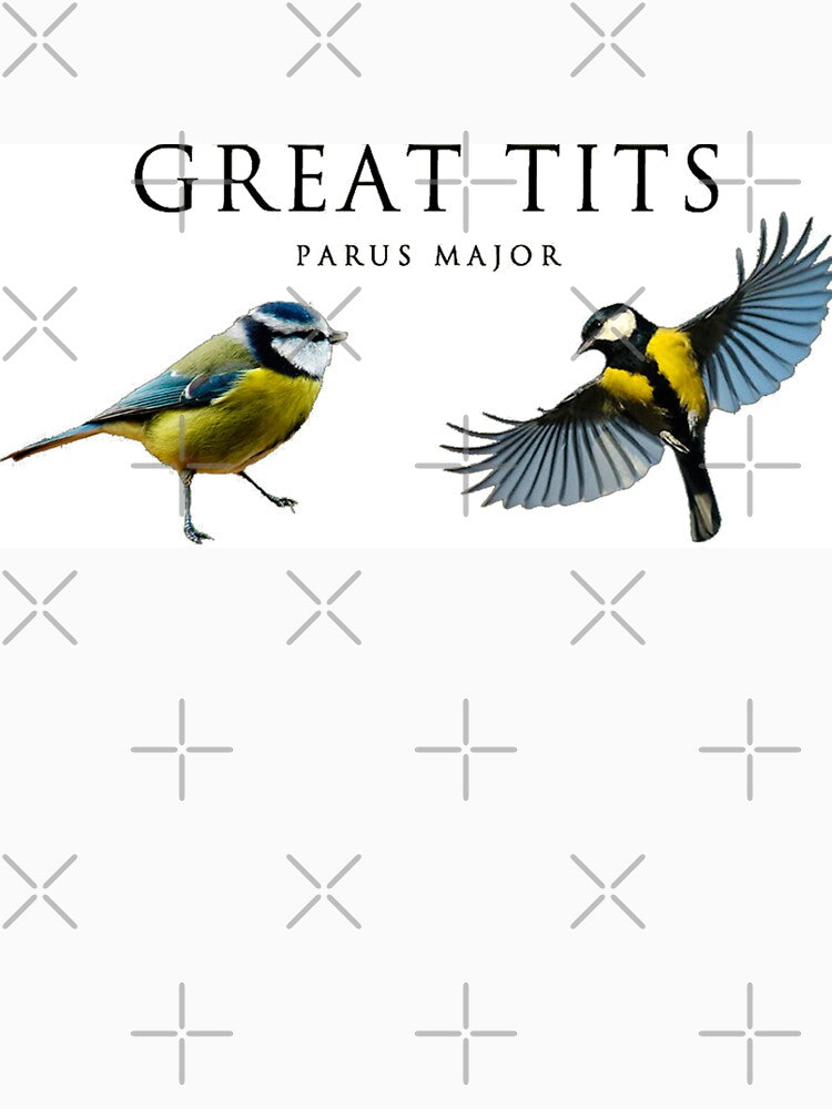 Great Tits Bird by LittleRolls