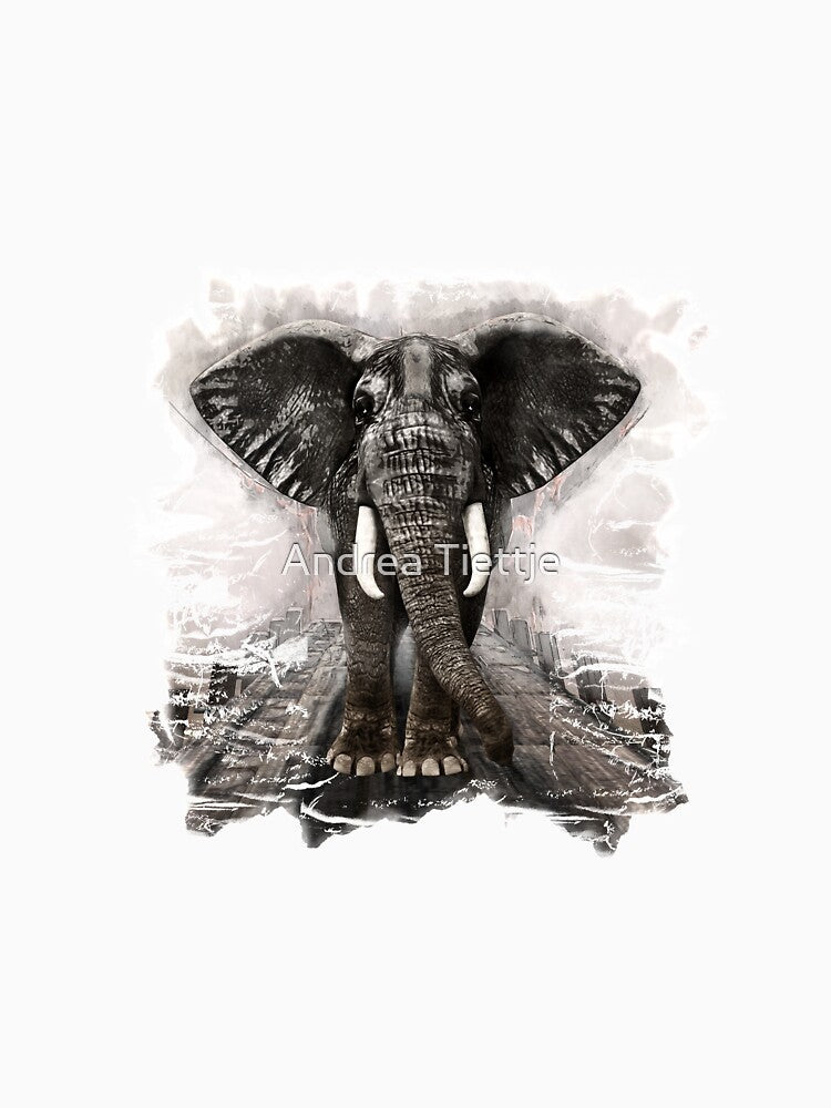 Elephant on walk by Andrea Tiettje