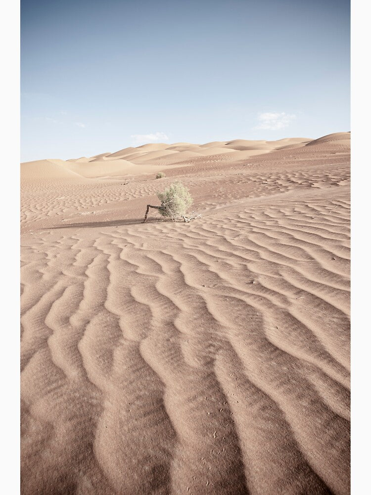 Life in the Desert by DavidGabisPhoto