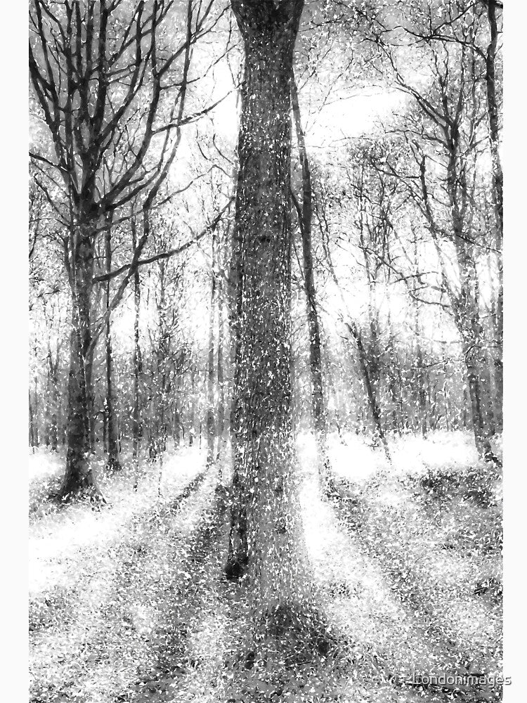 Forest Of Ghosts And Snow by Londonimages
